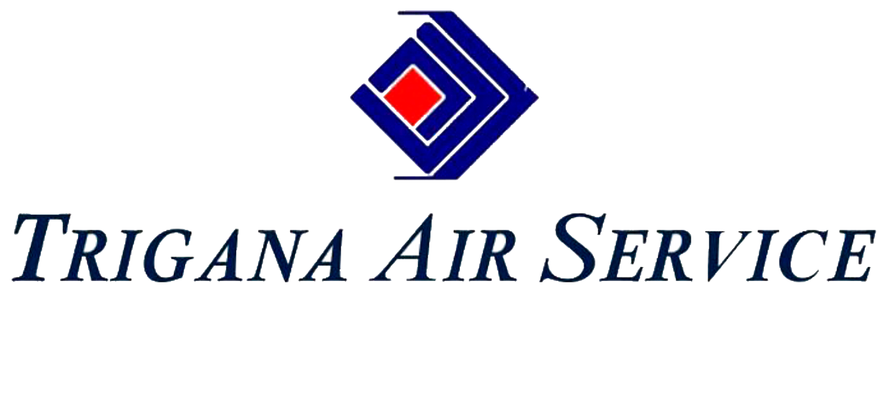 marketing activities with tigana air and pelita air2